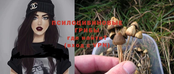 мет Аркадак