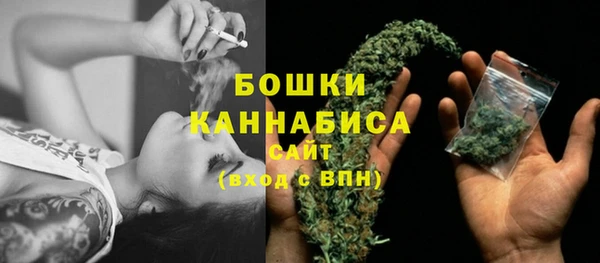 apvp Богданович