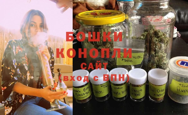 apvp Богданович