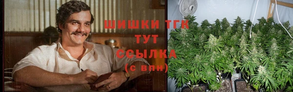 apvp Богданович