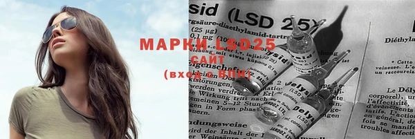 apvp Богданович