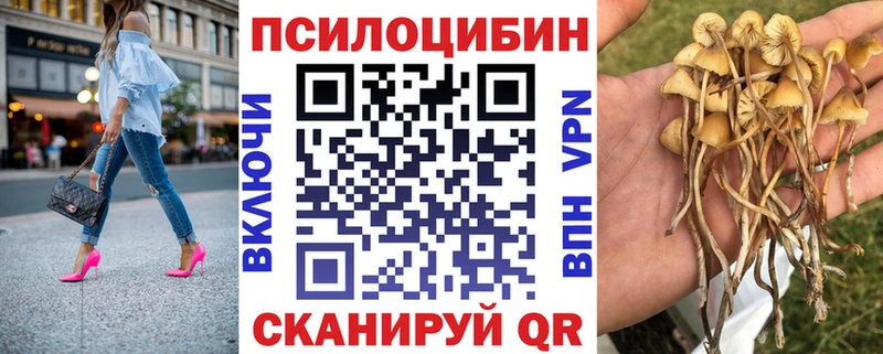 shop формула  hydra зеркало  Псилоцибиновые грибы прущие грибы  Спас-Деменск  где продают  